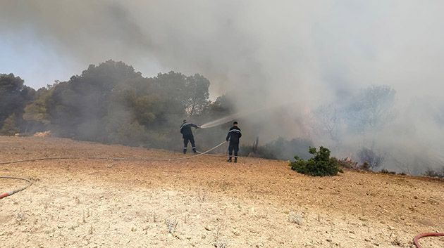 حريق يأتي على 1000 متر مربع من غاية جبل بوقدمة