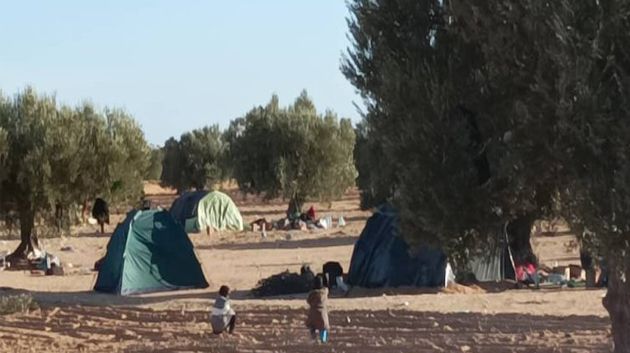 نائب في البرلمان: 'تعّرض المواطنين يوميا في جبناينة إلى سرقات و'البراكاجات' وأتمنى تدّخل المؤسسة العسكرية' (فيديو)