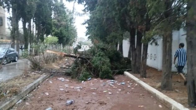 نابل : انقطاع بعض الطرقات نتيجة امطار مصحوبة برياح قوية‎