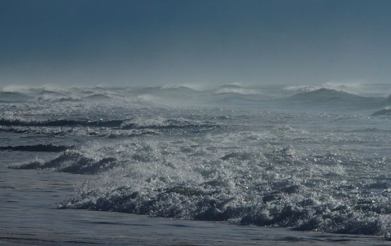 الحماية المدنية تحذّر: السباحة غير ممكنة غدا بكافة الشواطئ