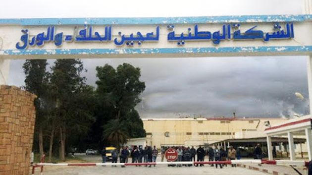 معمل الحلفاء بالقصرين يُوفّر 5370 طنًّا من الورق المخصّص للكتاب المدرسي