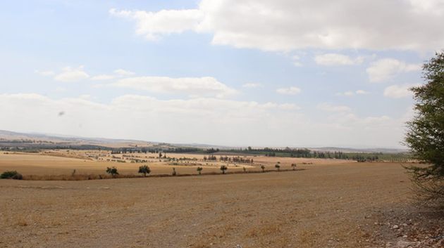 سليانة الأولى وطنيا في استرجاع العقارات الدولية الفلاحية المستولى عليها