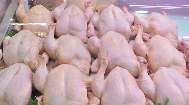 رئيس غرفة تجار الدواجن واللّحوم البيضاء: 'الأسعار لن تتراجع' (فيديو)