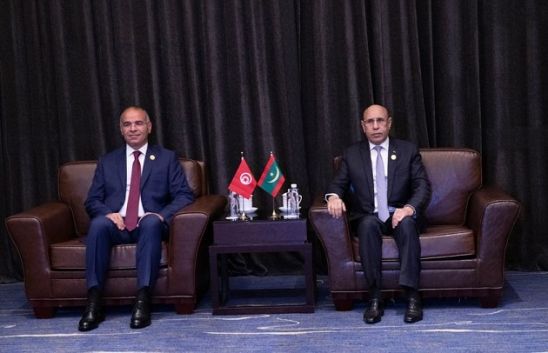 رئيس الحكومة يلتقي الرئيس الموريتاني