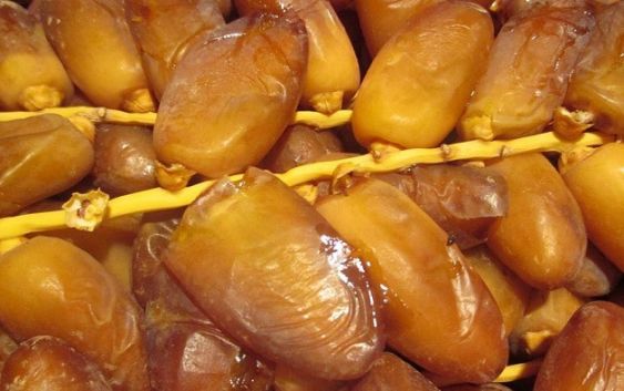 المجلس الدولي للتمور يحل ضيف شرف على الصالون الدولي