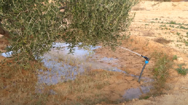 النفيضة: ضبط شخص بصدد تحويل مياه الشرب إلى سقي أشجار الزياتين