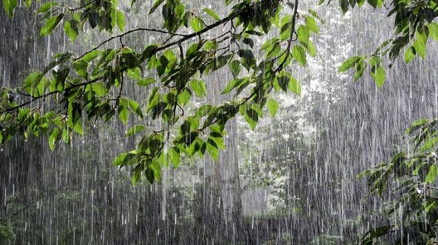 كميات الأمطار المسجلة خلال الـ24 ساعة الأخيرة