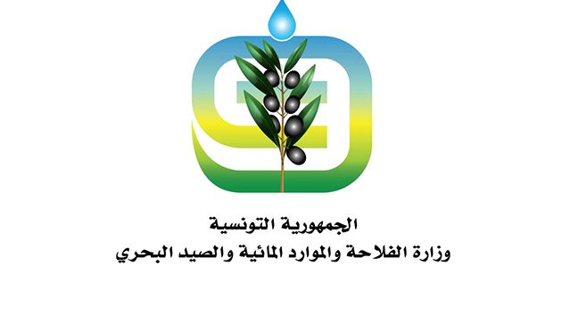 وزارة الفلاحة تخصّص خط تمويل لفائدة منتجي الحبوب لاقتناء مستلزمات الإنتاج للموسم 2024 /2025