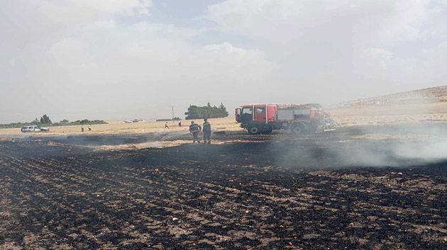 باجة: تسجيل عدد من الحرائق نتيجة ارتفاع درجات الحرارة والنشاط الفلاحي