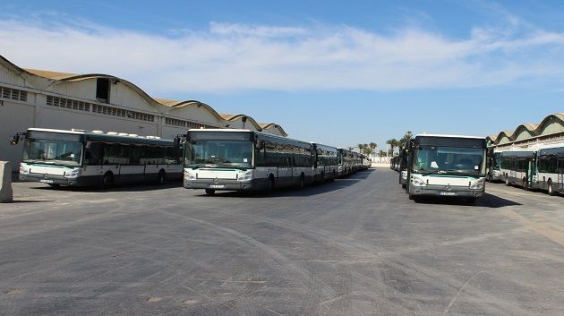 75 حافلة تعزّز أسطول شركة النقل بتونس