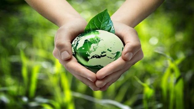 مشروع قانون المالية 2025: 10 ملايين دينار لمشاريع الاقتصاد الأخضر والأزرق والدائري