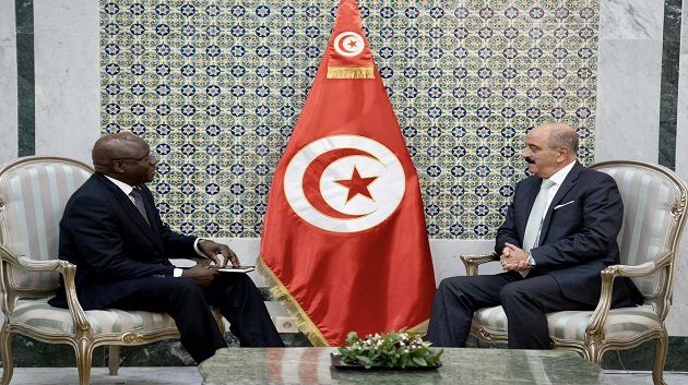 تطوير علاقات التعاون محور لقاء وزير الخارجية بالسفير الكاميروني