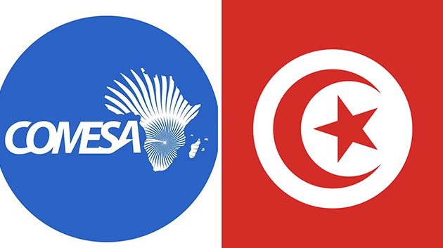 وزير الخارجية يشارك في قمة الكوميسا ببورندي 