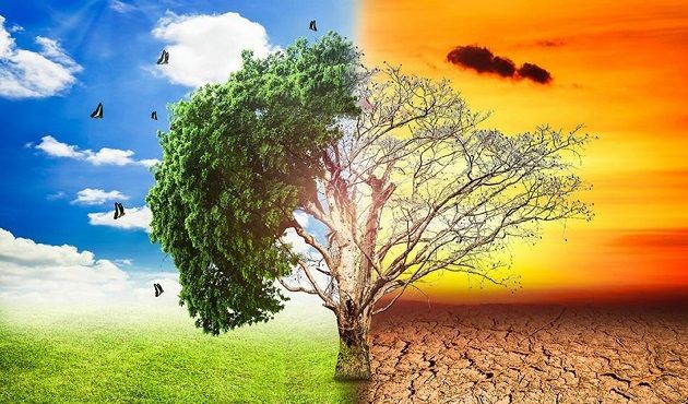 دراسة : تأثيرات التغيّر المناخي كانت أشد وقعا على الطبقة الفقيرة والفئات الهشّة