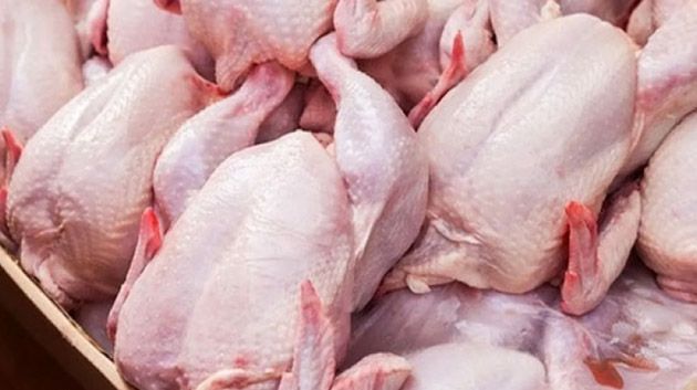 السعر الأقصى 8.5 د الكلغ.. وزارة التجارة تدعو للتبليغ عن أي تجاوزات في أسعار الدواجن