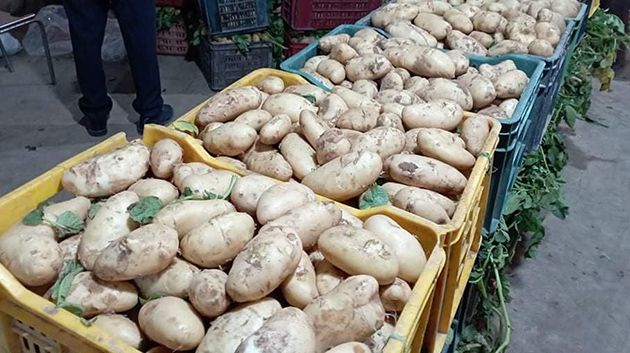 القصرين: حجز شاحنتيْن محمّلتيْن بأكثر من 3 أطنان من البطاطا