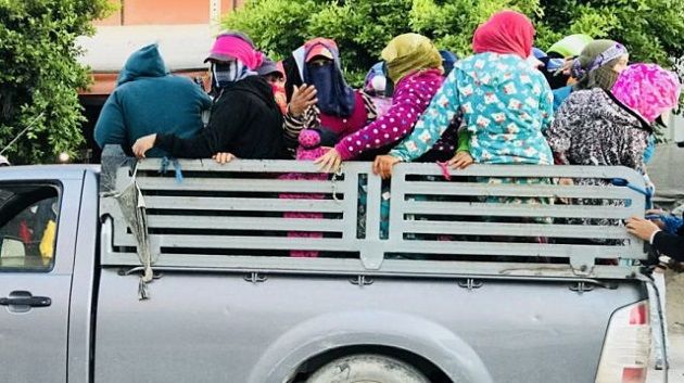 منتدى الحقوق الاقتصادية والاجتماعية: 8 % فقط من العاملات الفلاحيات يتمتعن بالتغطية الاجتماعية
