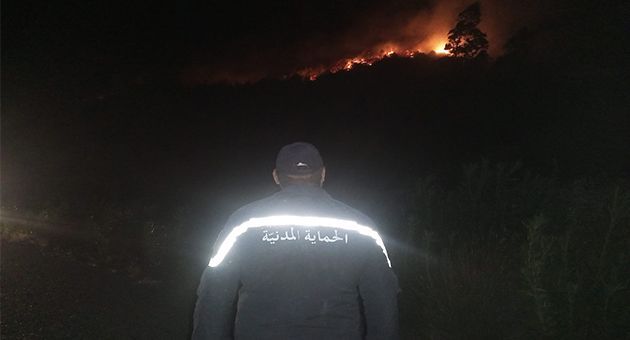 وفاة عون حماية مدنية أثناء محاولة اخماده حريق بمستودع لأرشيف الكنام