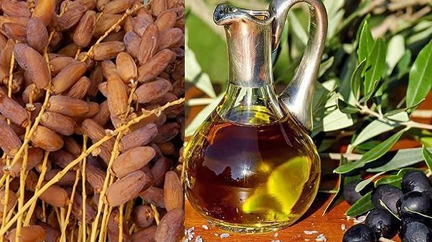 الميزان التجاري الغذائي يُحقق فائضًا بدعم من صادرات زيت الزيتون والتمور