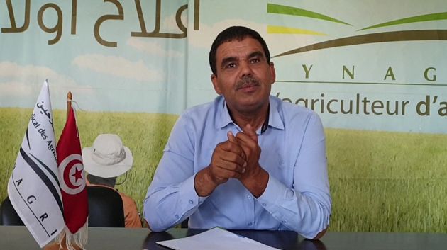رئيس النقابة التونسية للفلاحين: الفلاح صار عاجزا على تغطية تكلفة انتاج الزيتون (فيديو)