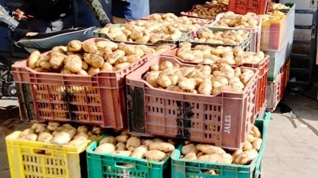 نابل : احتجاجات على خلفية حجز كميات من 'البطاطا'