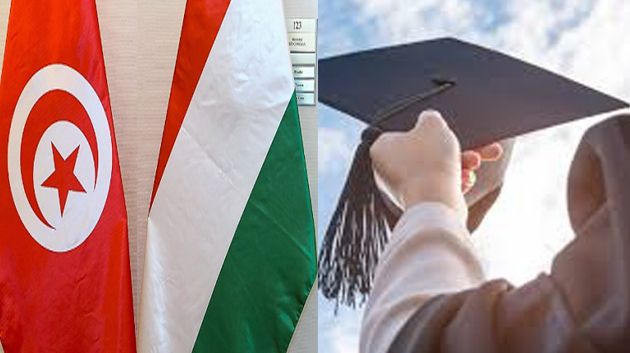 المجرّ تخصّص 250 منحة لفائدة الطلبة التونسيين