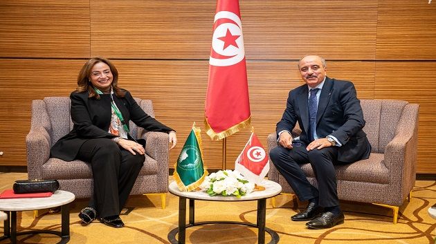 مفوضة الاتحاد الافريقي: سنواصل التعاون مع تونس في مجال تطوير البنية التحتية والطاقة