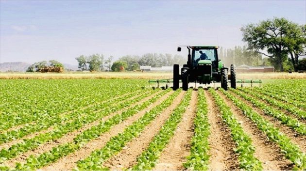وكالة النهوض بالاستثمارات الفلاحية: المصادقة على 11 عملية استثمار بـ35.4 مليون دينار