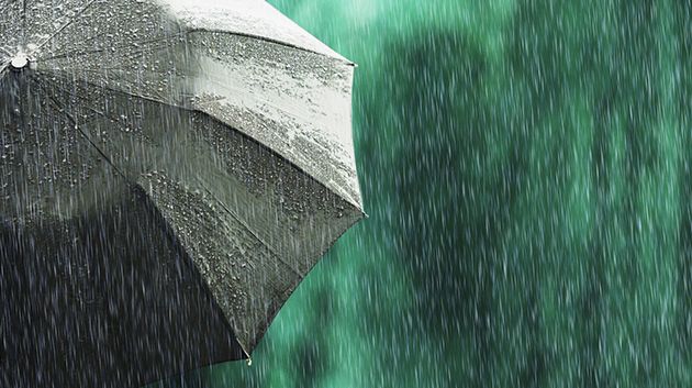 نشرة متابعة: تواصل نزول الأمطار بهذه المناطق اليوم وغدًا