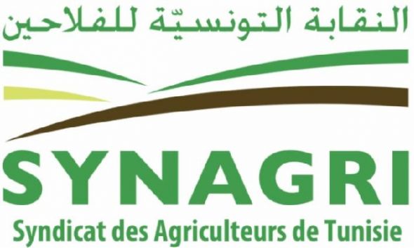 نقابة الفلاحين: توريد اللحوم الحمراء سيؤثر سلبا على منظومة الألبان