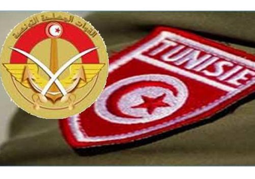 وزير الدفاع: التشكيلات العسكرية تمكّنت من إبطال مفعول 491 لغما