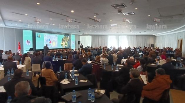 مسؤول بوزارة التجارة: 'من حقّ تونس المطالبة بتطوير اتفاقية تصدير زيت الزيتون مع الاتحاد الأوربي'