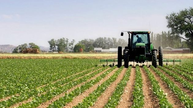 نابل: تطور الاستثمارات في القطاع الفلاحي 