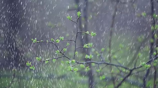 بداية من الغد: أمطار غزيرة وثلوج بهذه المناطق
