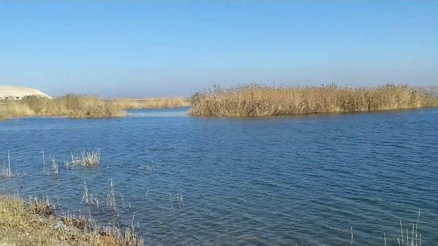 وزير الزراعة السوري: نسعى لزيادة حصتنا من دجلة والفرات