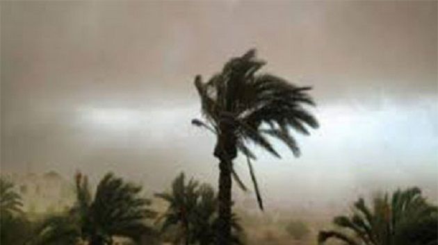 رياح قوية نسبيا قرب السواحل