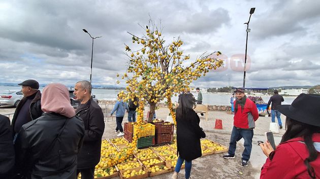 مهرجان القوارص بالحمامات في دورته الـ11