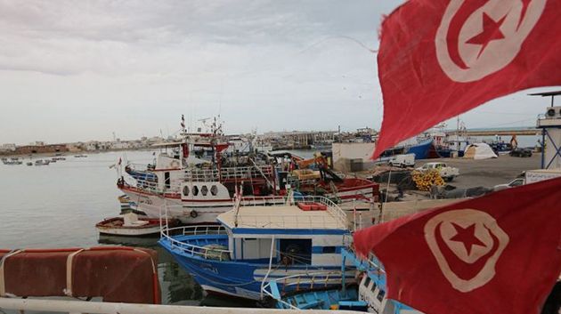 اتحاد الفلاحة بقليبية: قطاع الصيد البحري يشهد تحديات تتطلب تغييرات شاملة‎