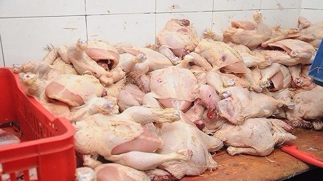 نابل: حجز أكثر من 3 أطنان من لحوم الدواجن بمستودع عشوائي