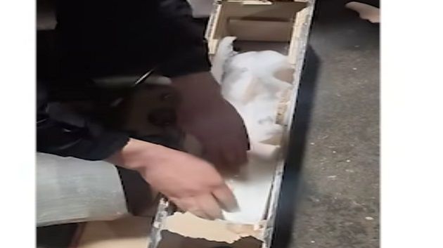 ميناء حلق الوادي: إحباط تهريب 'زطلة' وهواتف جوّالة (فيديو)