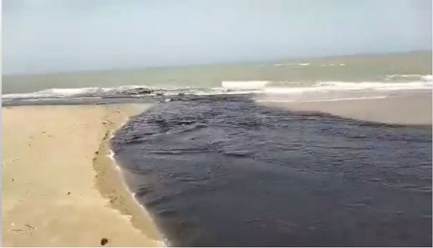 كارثة بيئية بشاطئ روّاد.. وزير البيئة يتعهد بإصلاح الإخلالات الطارئة (فيديو)