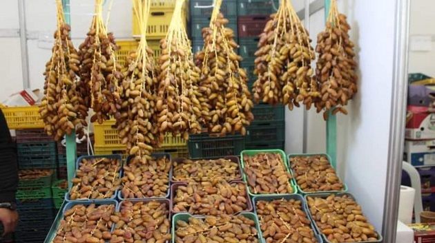 تراجع صادرات التمور خلال الـ5 أشهر الأولى من موسم 2024-2025