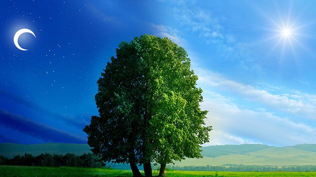 بدء الاعتدال الربيعي.. ما هو وكيف يحدث؟