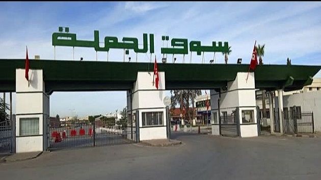 وزير التجارة يعاين مستويات التزويد والأسعار بسوق الجملة ببئر القصعة
