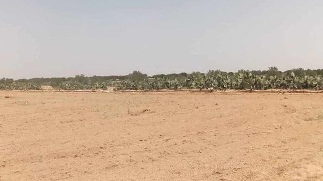 المهدية: استرجاع عقاريْن دوليّيْن بمساحة 6000 متر مربع
