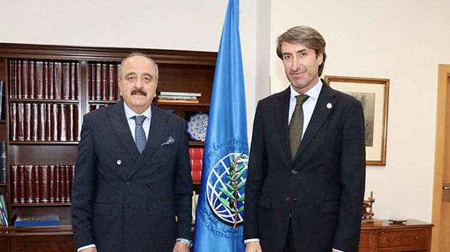 وزير الخارجية يلتقي في إسبانيا المدير التنفيذي للمجلس الدولي للزيتون