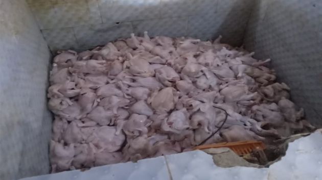 جندوبة: حجز 120 كغ من لحوم الدجاج