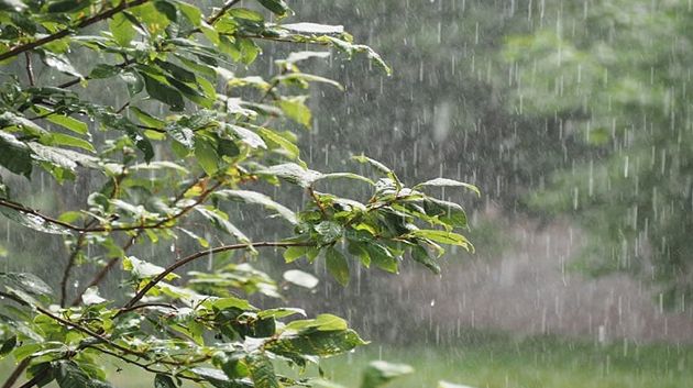 اليوم: أمطار رعدية وغزيرة بهذه المناطق
