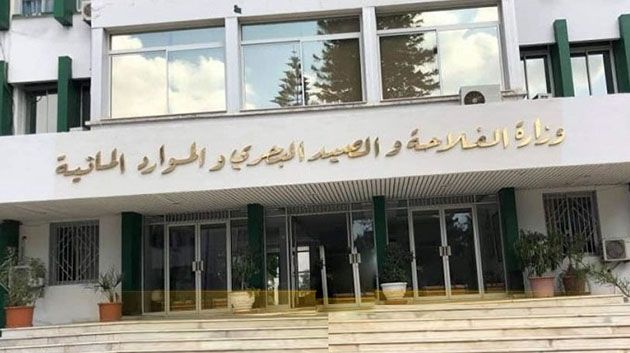 إيقاف نشاط صندوق الجوائح الطبيعيّة.. الفلاّحون يطالبون بدفع مستحقاتهم (فيديو)