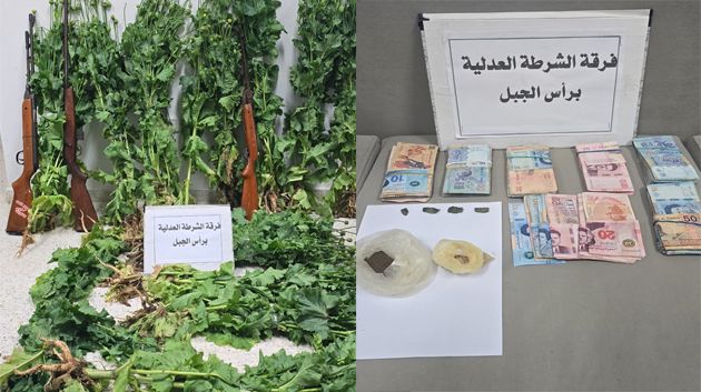رفراف: القبض على شخصين من أجل زرع نبتة 'الخشخاش' في منزليهما
